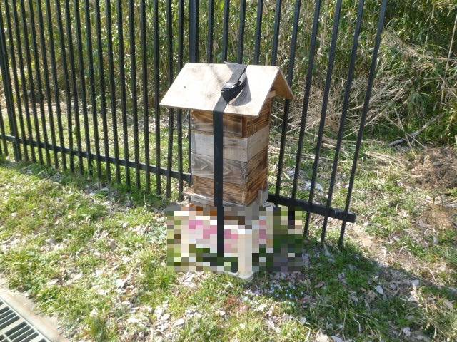 P1040867 - ビールケースぼかし.jpg