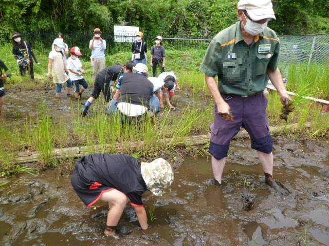P1060187 - ブログ用ぼかしコピー.jpg