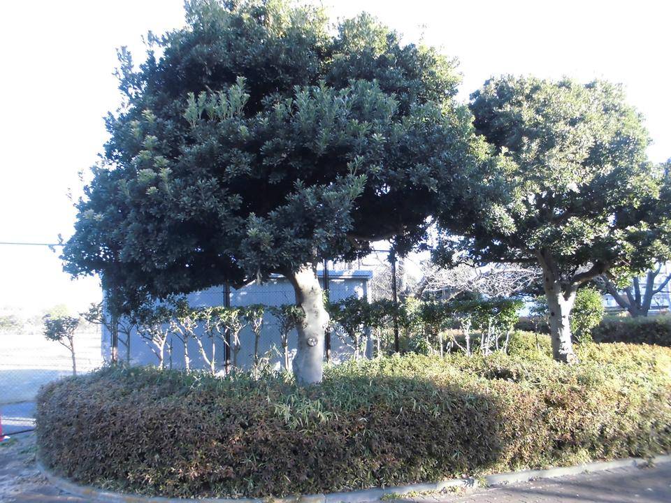 CIMG5508.jpg