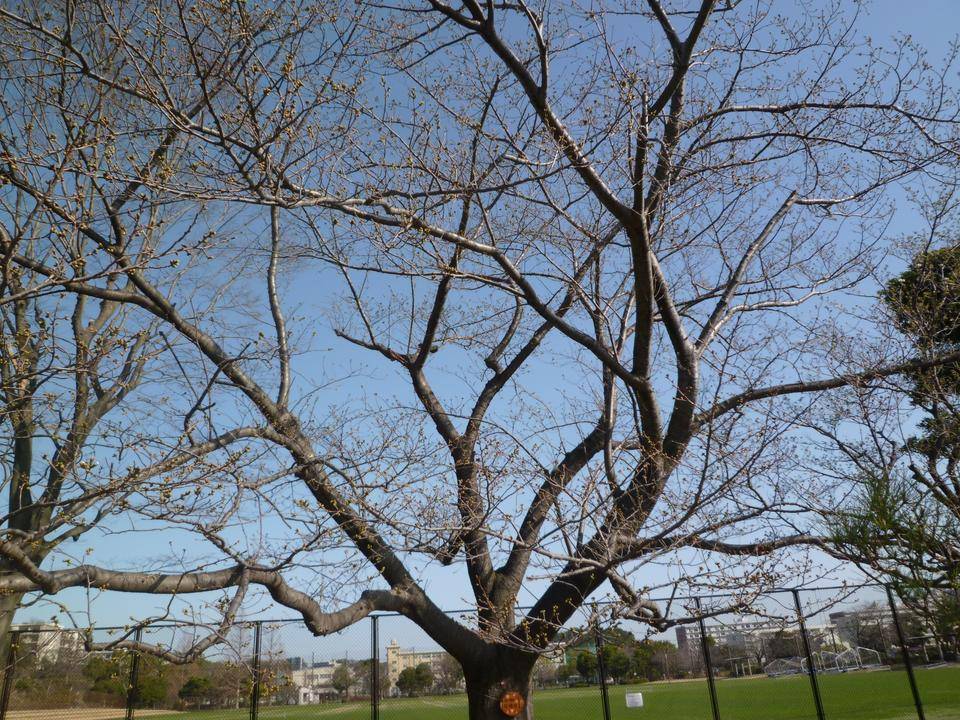P1020296.jpg