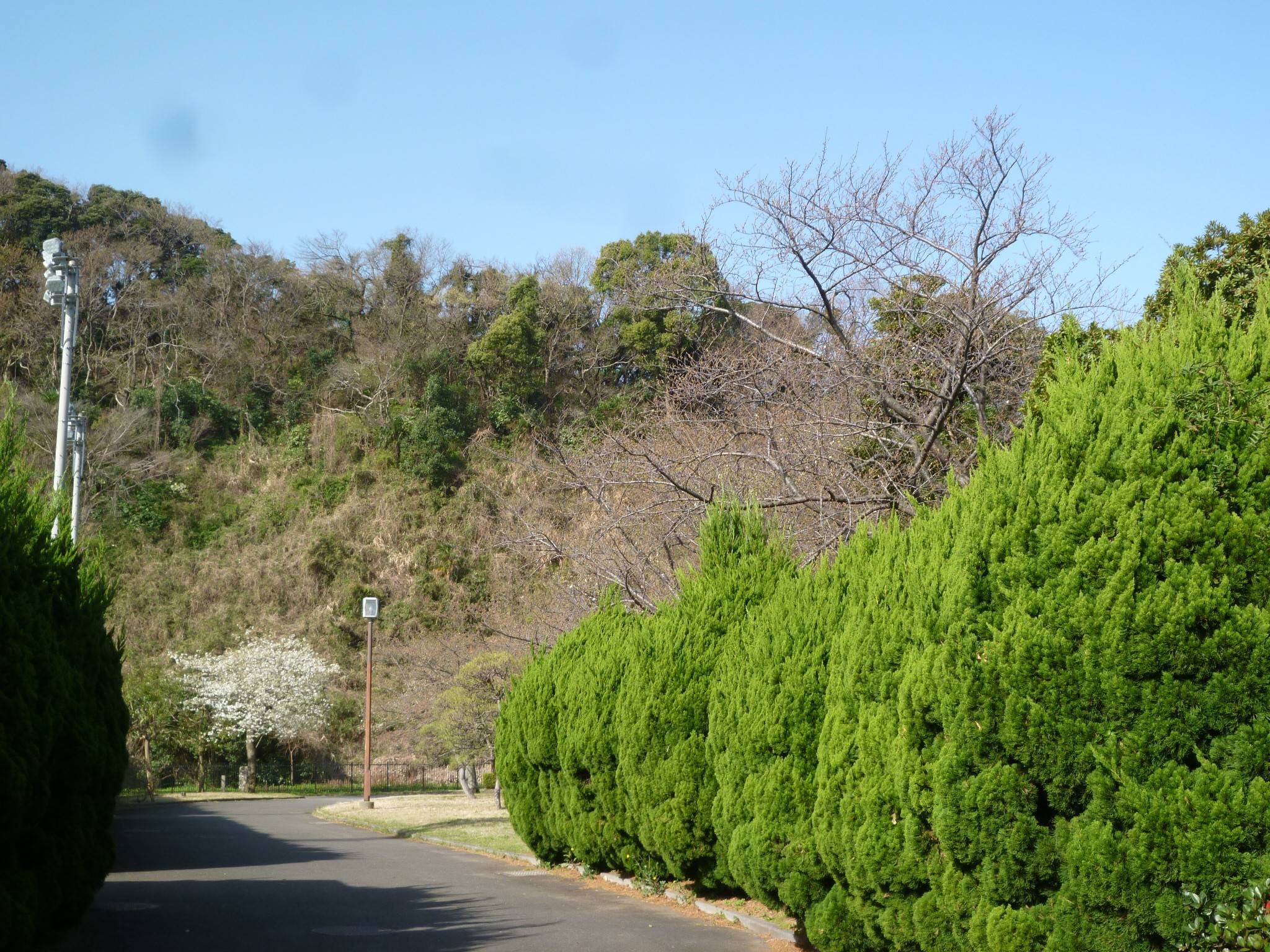 P1020306.jpg