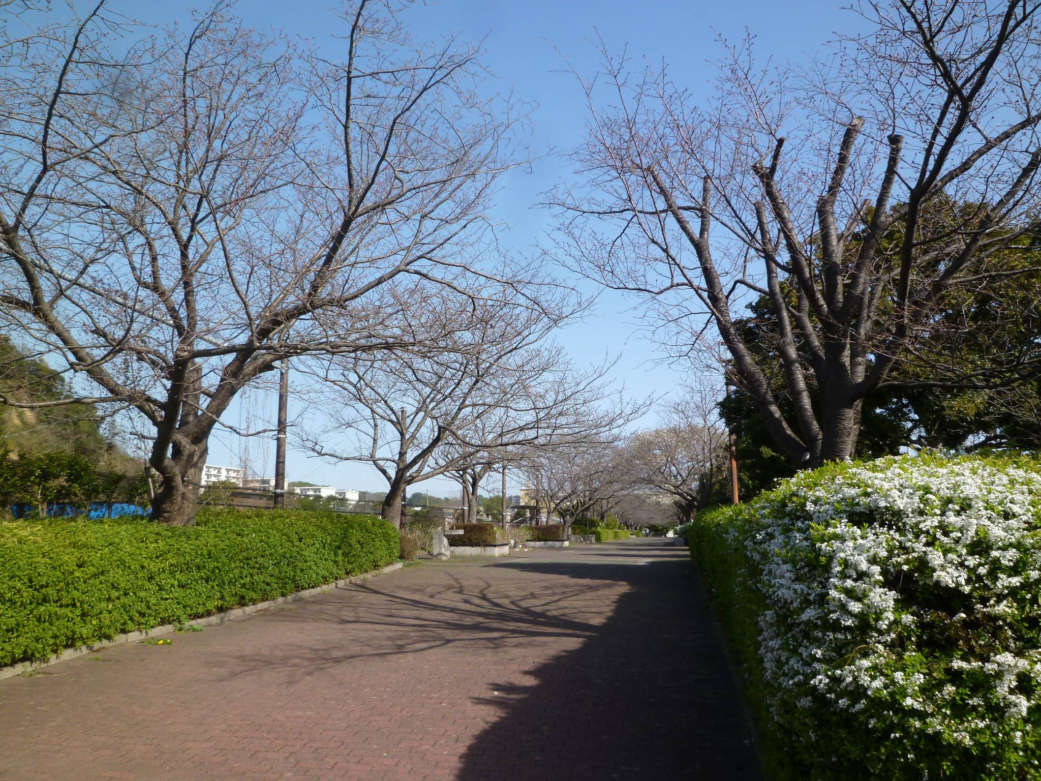 P1020307.jpg