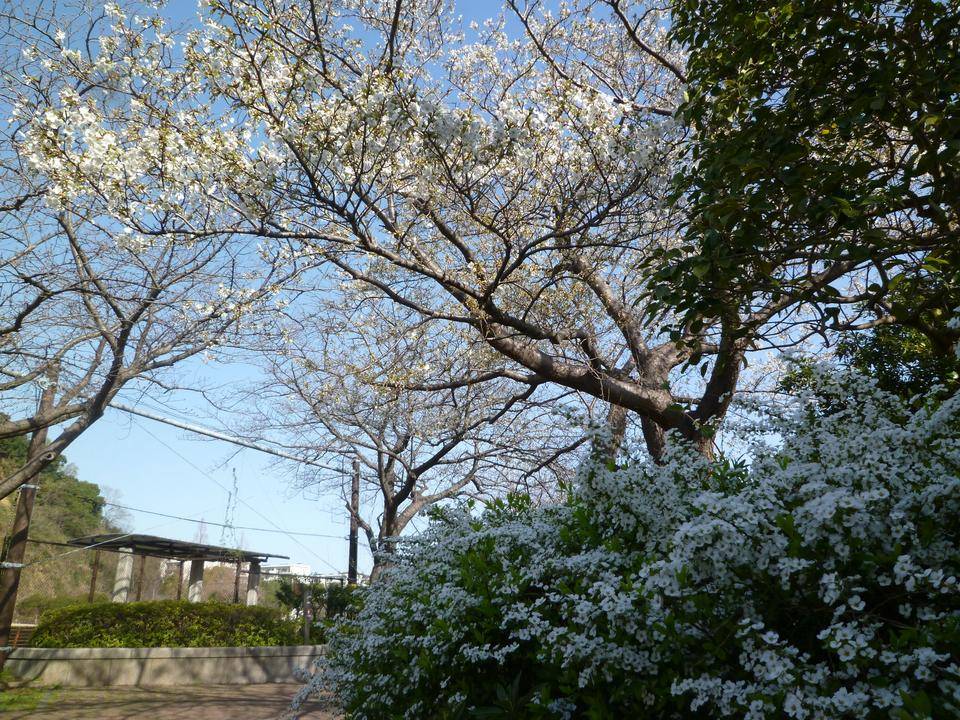 P1020315.jpg
