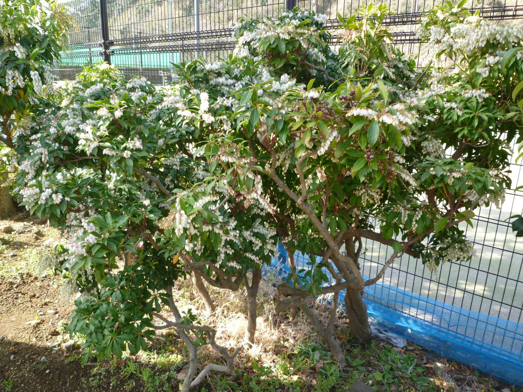 P1020316.jpg