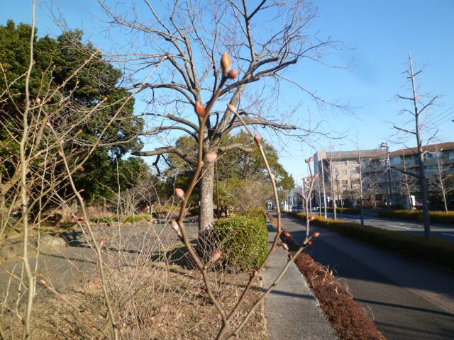P1040637.jpg