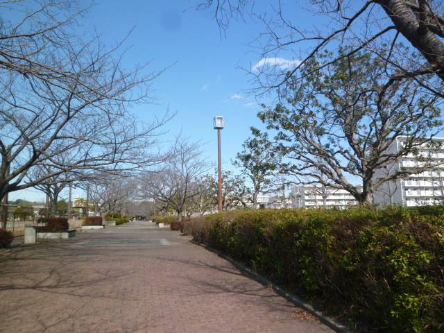 P1040672.jpg
