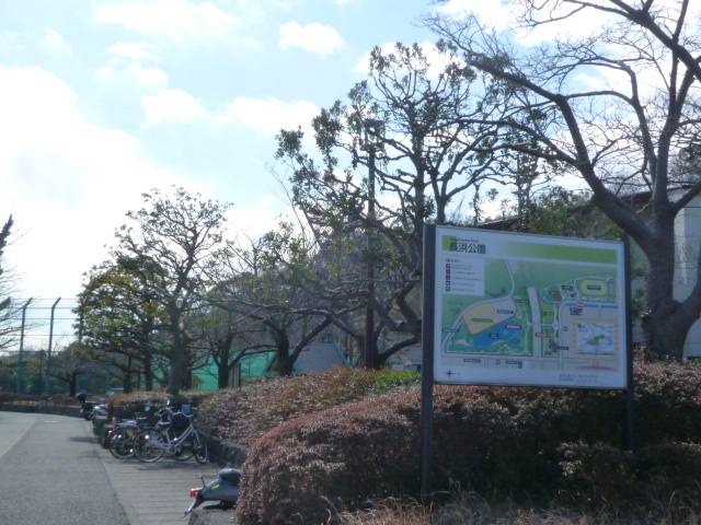 P1040676.jpg