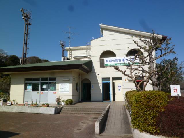 P1040681.jpg