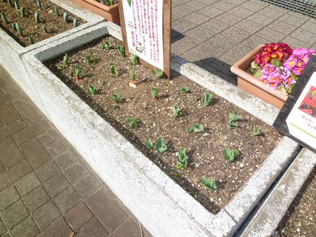 P1040688.jpg