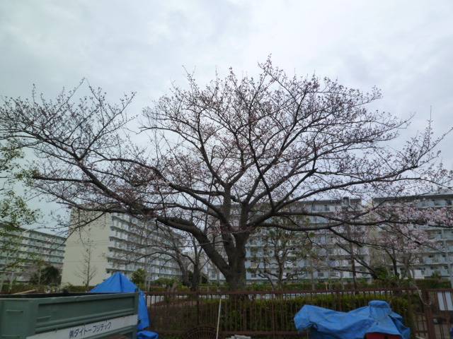 P1050054.jpg
