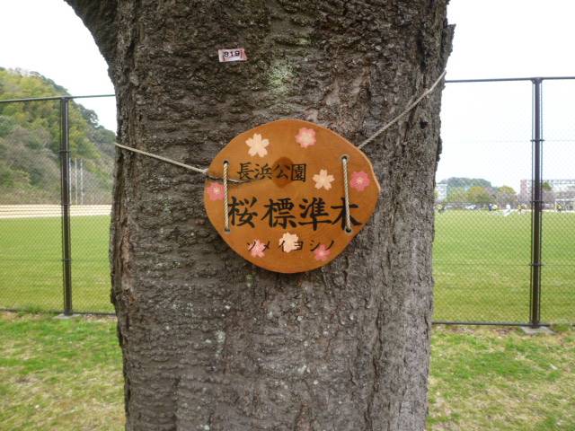 P1050060.jpg