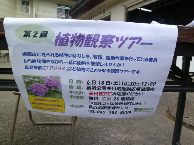 P1060069.jpg