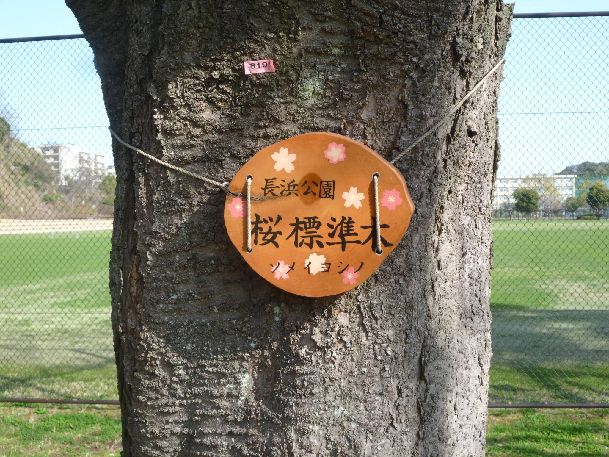 P1020292.jpg