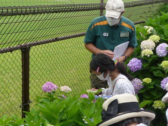 ブログP1060094.jpg