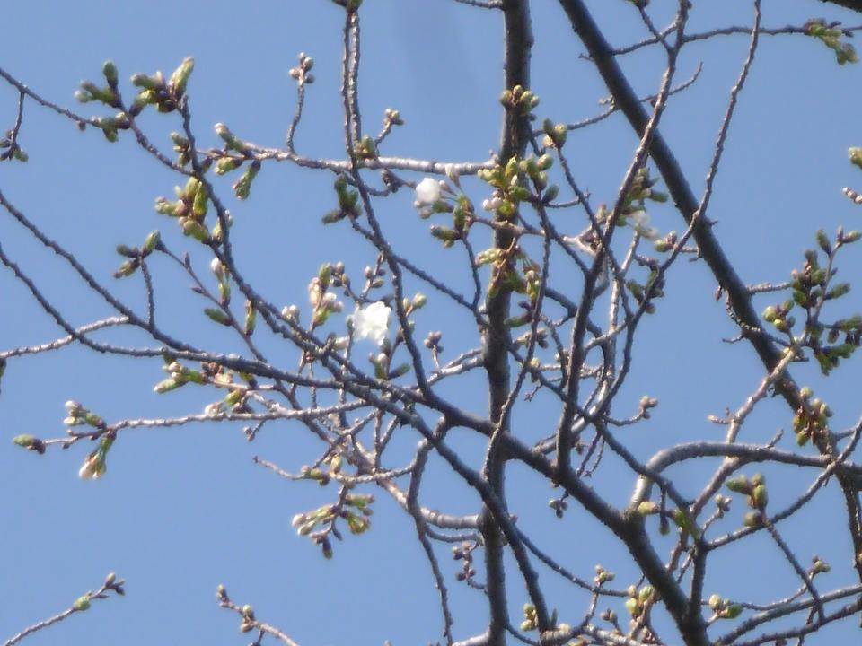 P1020294.jpg