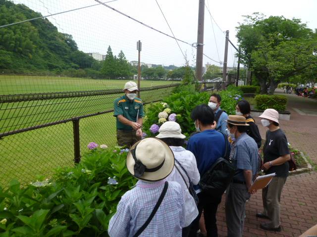 ブログP1060093.jpg