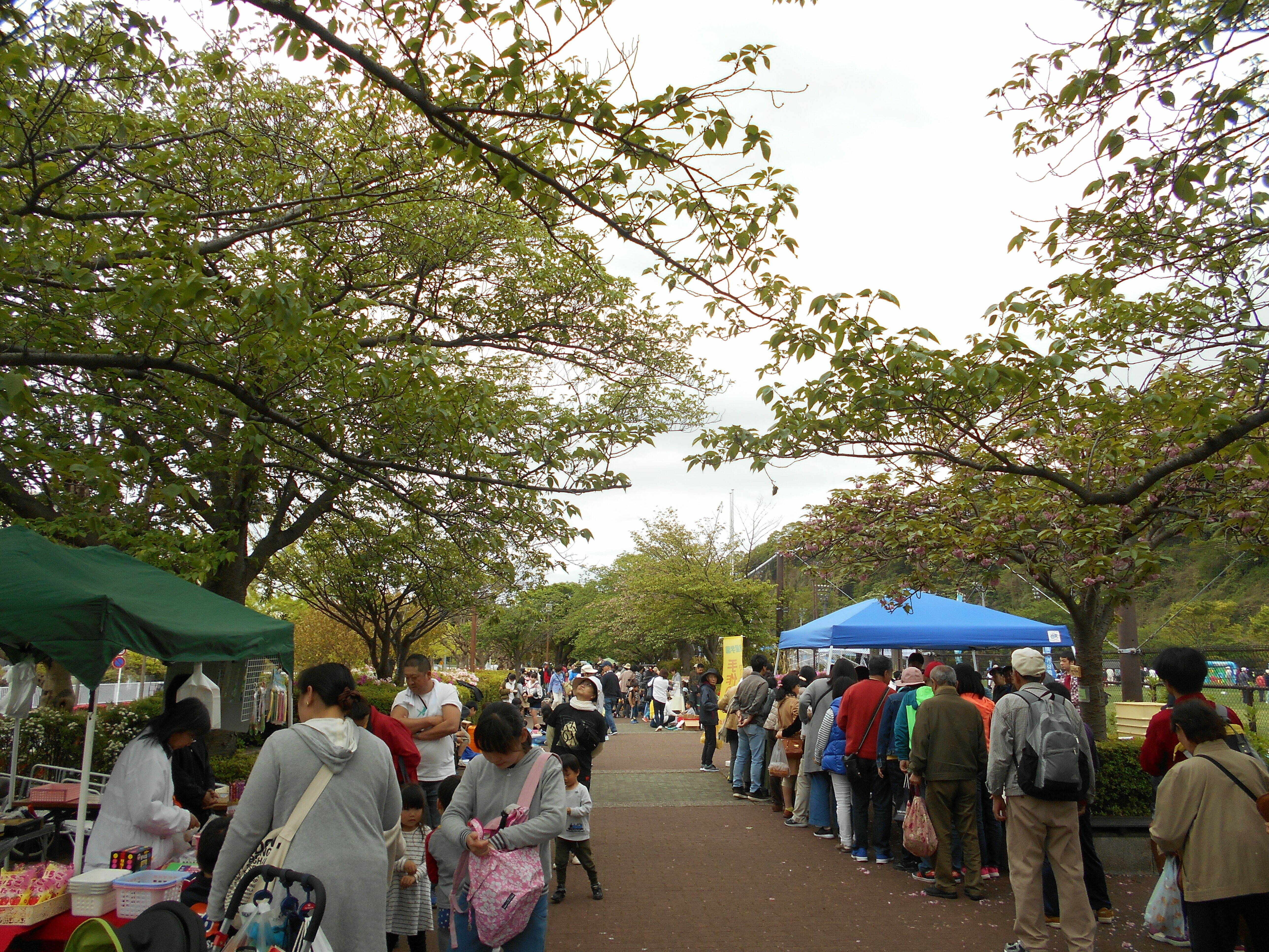 ブログ フリーマーケットDSCN1444.jpg