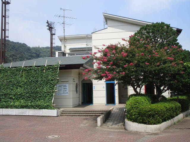 290731夏グリーンカーテン