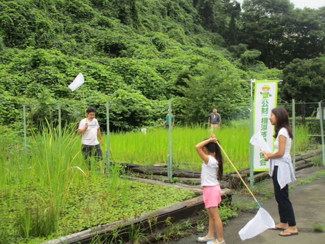 トンボとり大作戦 竹の風車作り ブログ 長浜公園公式サイト 公益財団法人 横浜市緑の協会 トンボとり大作戦 竹の風車作り ブログ 長浜公園公式サイト 公益財団法人 横浜市緑の協会