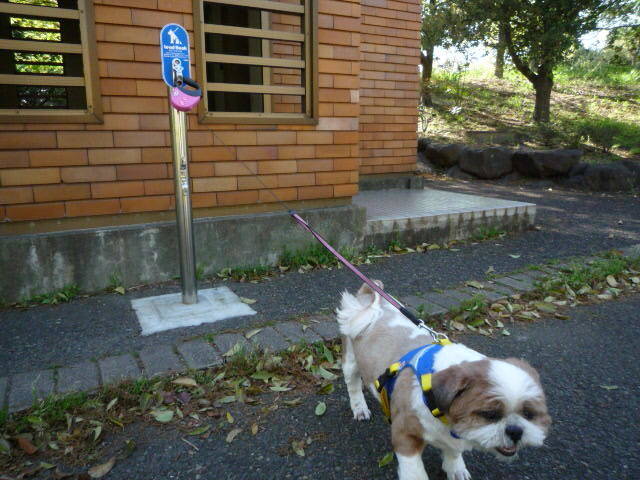 290529リードフック1