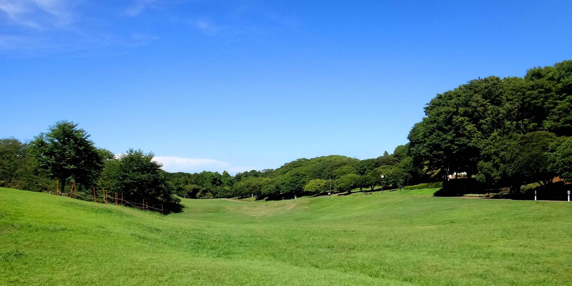 根岸森林公園公式サイト 公益財団法人 横浜市緑の協会
