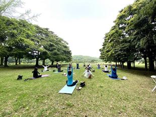 新緑の中での朝活