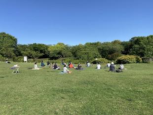 毎週土曜日はパークヨガを開催しています。