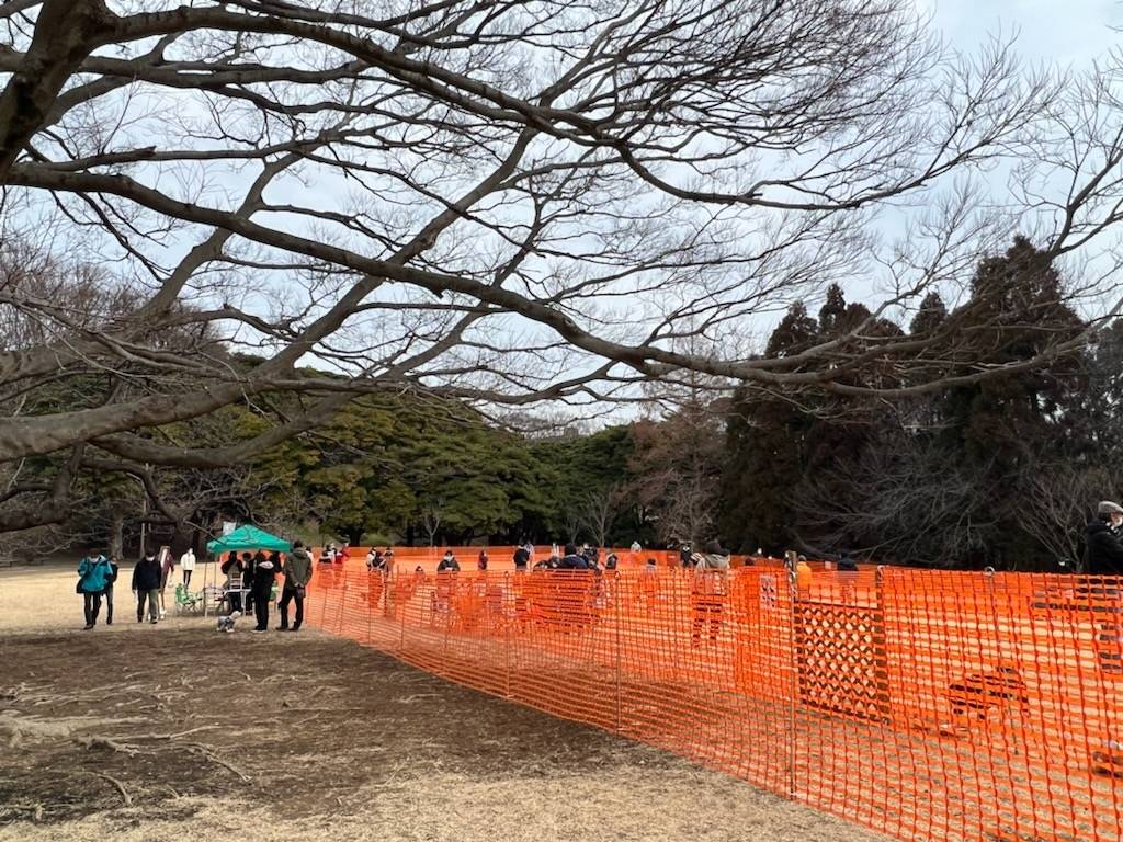 根岸森林公園ドッグランの写真