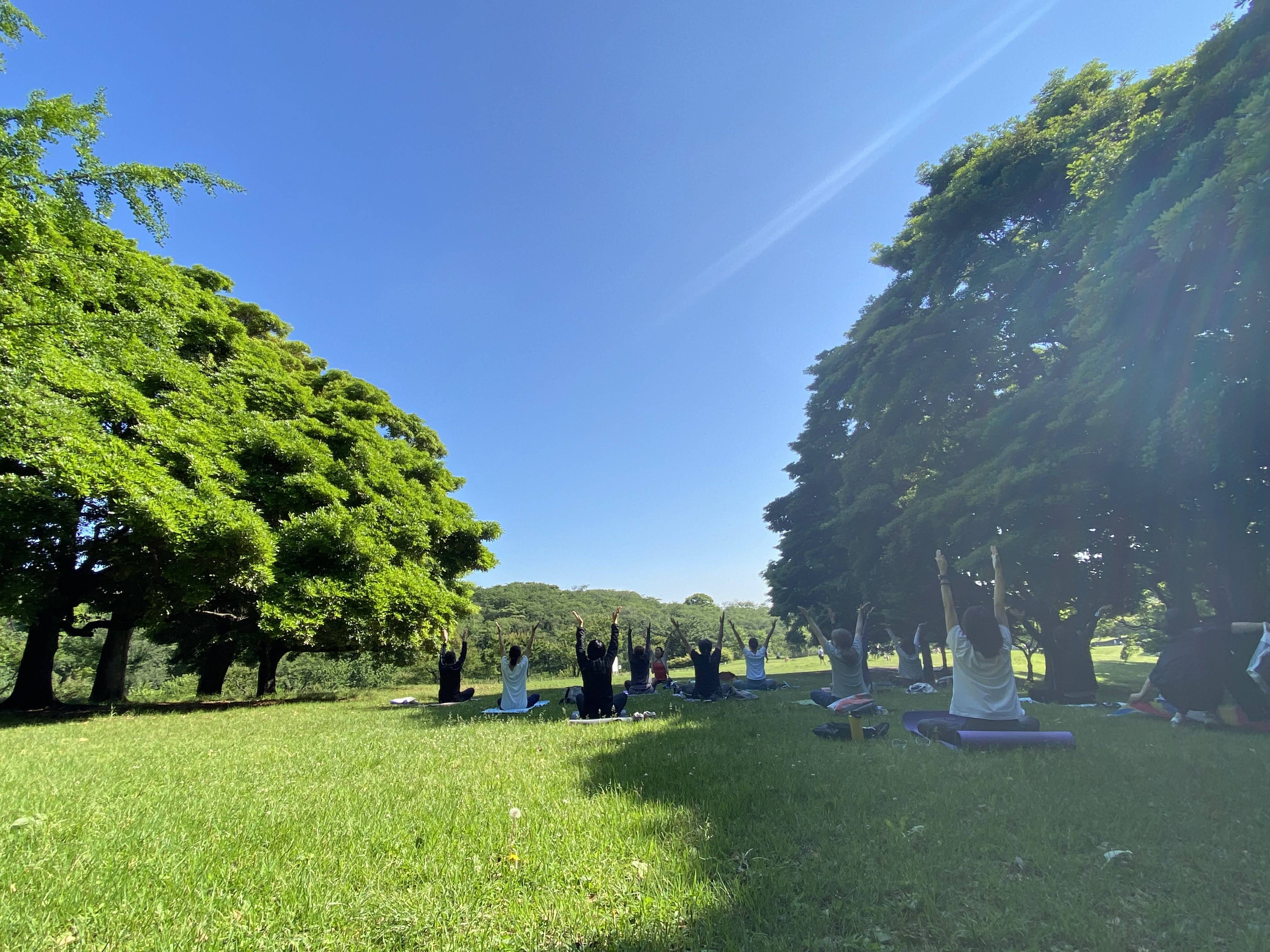 初夏のパークヨガの写真