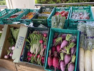 とれたて野菜