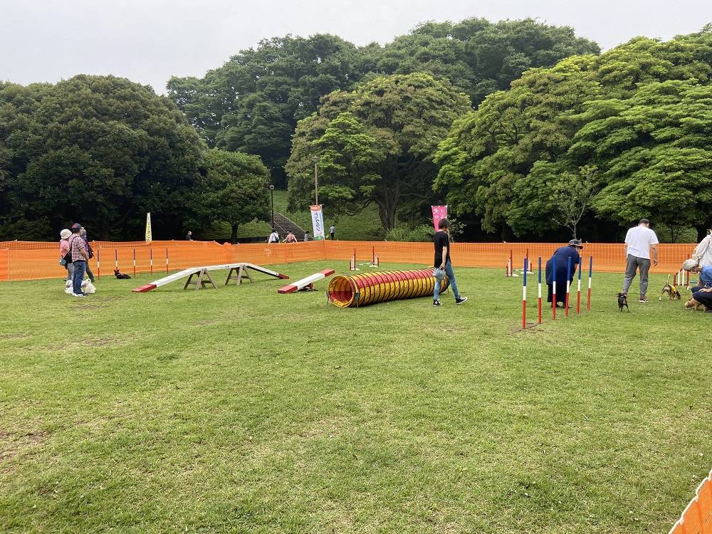 6月のドッグランを開催しました。の写真