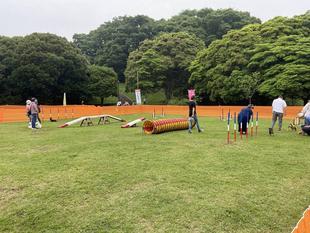 ６月のドッグランを開催しました。