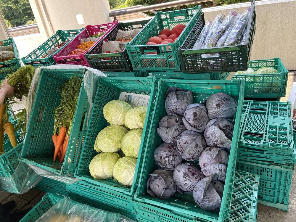 毎月第1土曜日は野菜の販売日です。の写真