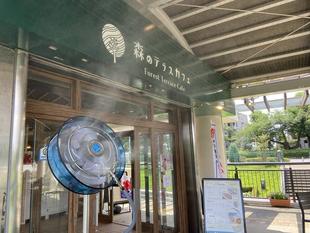 ミストでクールダウン