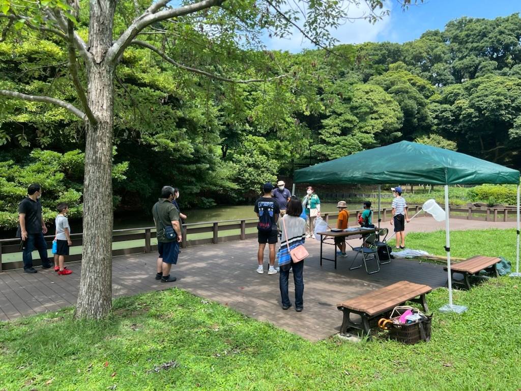 8月のトンボとり大作戦の写真