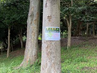 落ち枝にご注意ください。