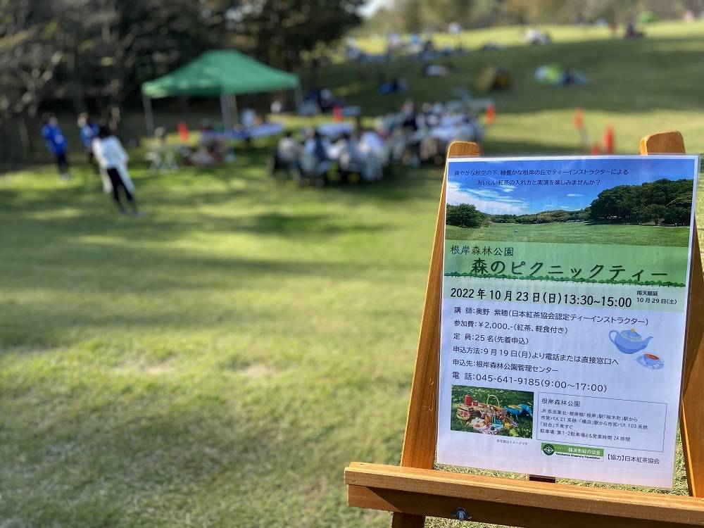 根岸森林公園「森のピクニックティー」の写真