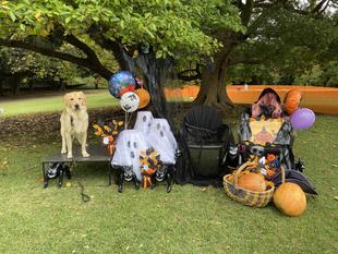 ワンワンフォトスポット開催中です。