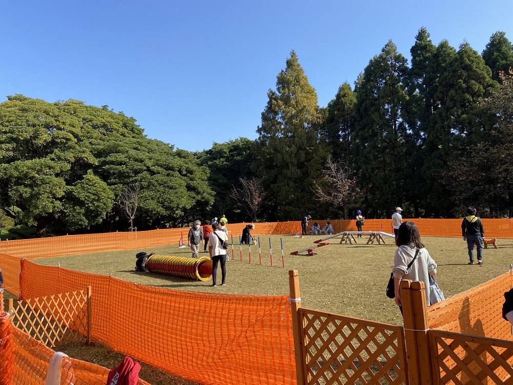 3月のドッグランの写真