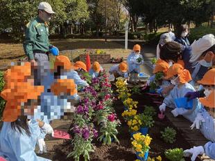 園児と一緒に花苗を植えました。