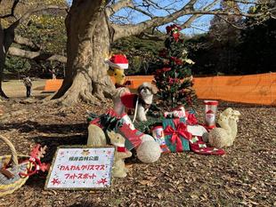 わんわんクリスマス フォトスポット