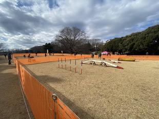 今年最初のドッグラン