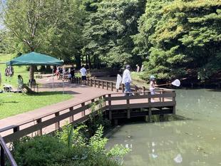 トンボとり大作戦2025