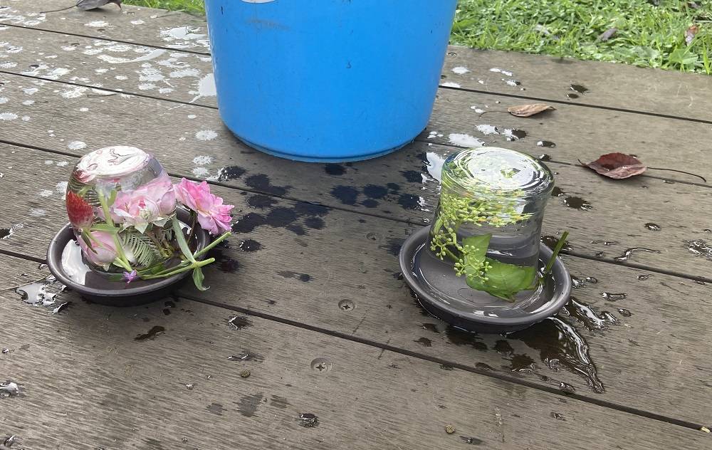 水中花を作ろうの写真
