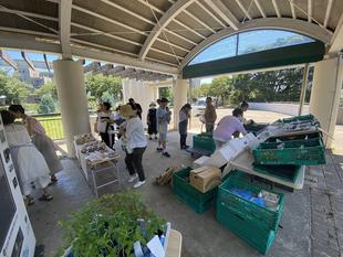 森のマーケット