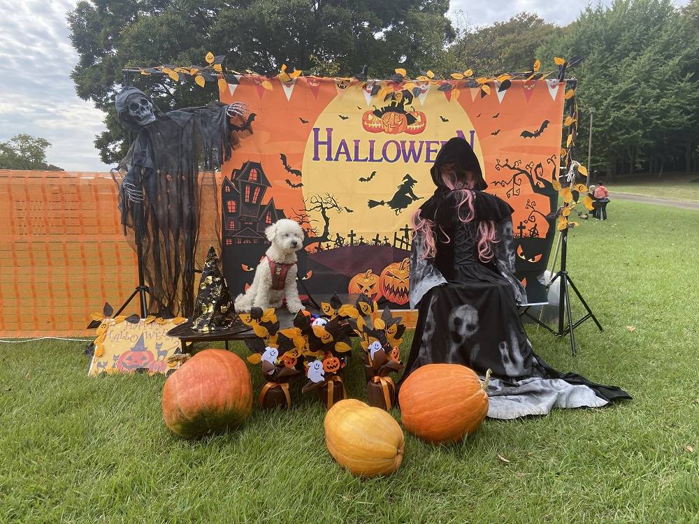 わんわんハロウィン フォトスポットの写真