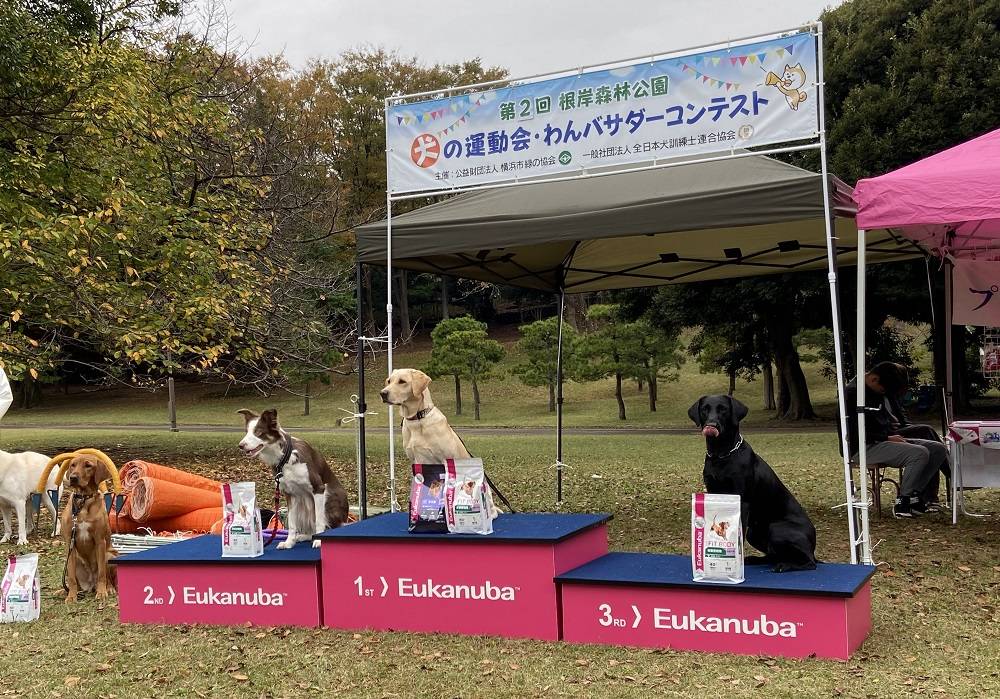 根岸森林公園第2回 犬の運動会の写真