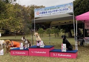 根岸森林公園第2回 犬の運動会