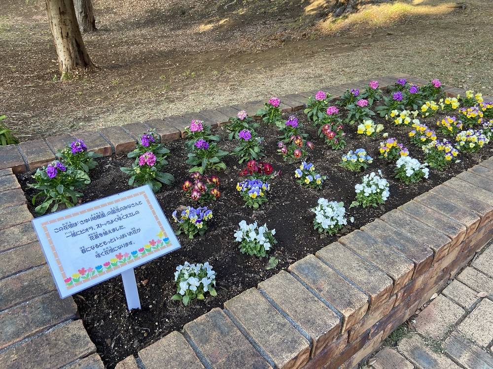 園児の皆さんと一緒に花植えをしました。の写真