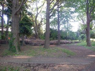 カントリーヘッジを増設しました。